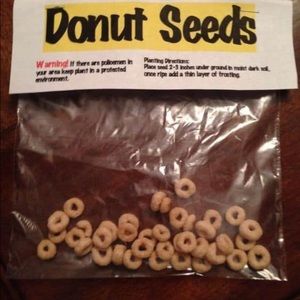 Seeds for Julie